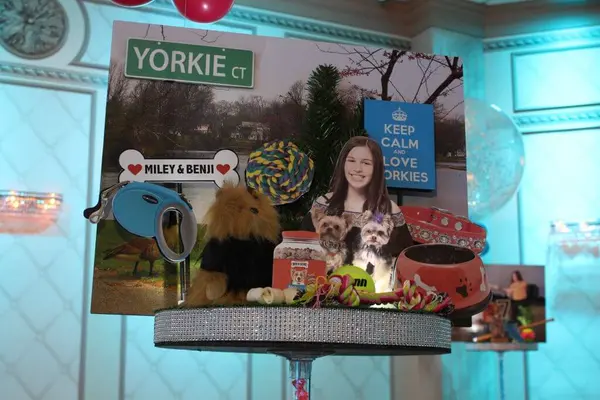 Dog Themed Diorama Centerpiece