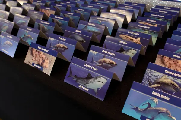 Shark Themed Place Cards