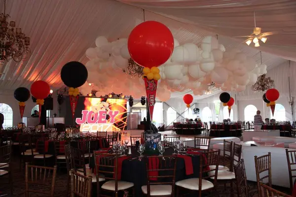 Maryland Terps Themed Graduation