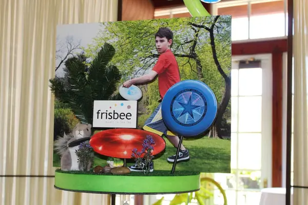 Frisbee Themed Diorama Centerpiece