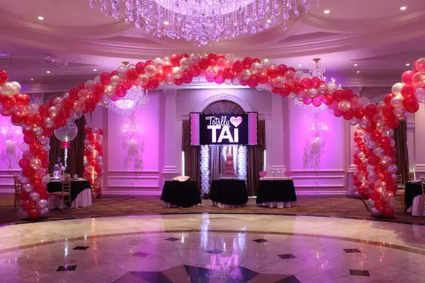Hot Pink and Silver Balloon Wrap