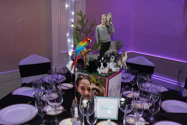 Everything Girl Animals Centerpiece