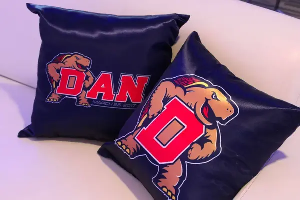 Maryland Themed Logo Pillow