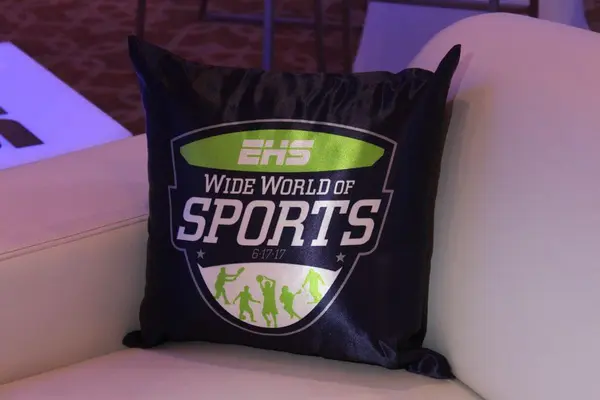 ESPN Themed Logo Pillow