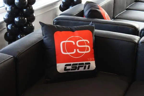 Custom Logo Pillow