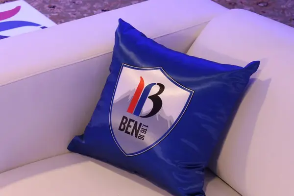 Custom Logo Pillow