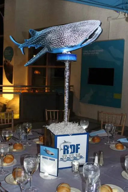 Shark Themed Centerpiece