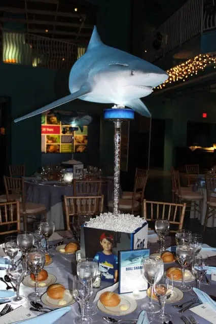 Shark Themed Centerpiece