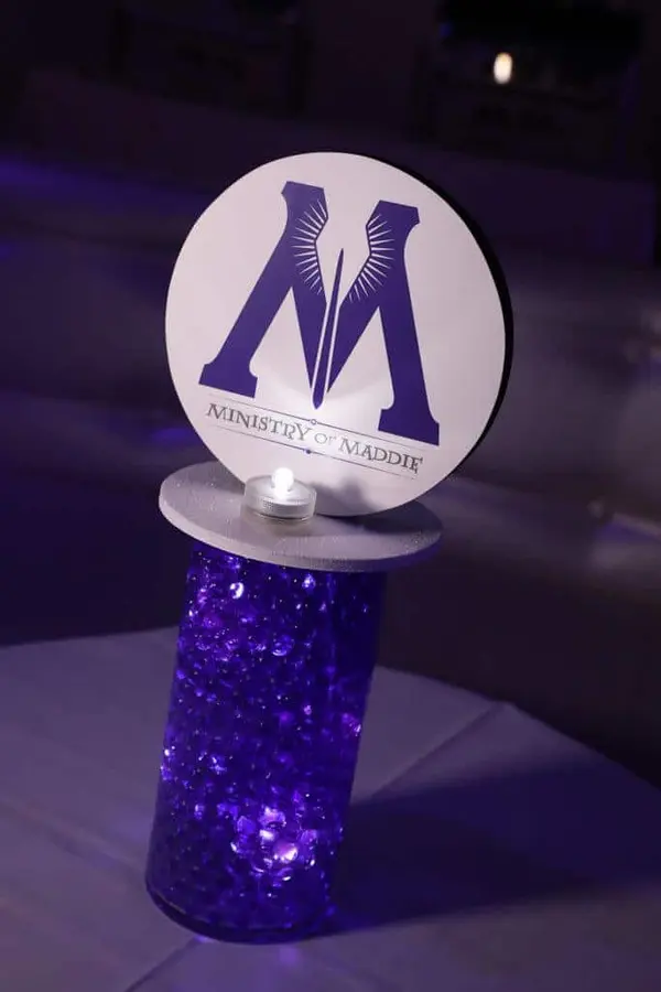Harry Potter Lounge Centerpiece