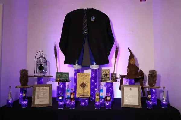 Harry Potter Display