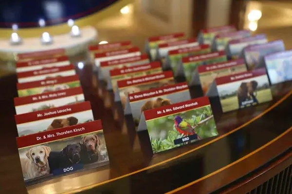 Animal Themed Place Cards