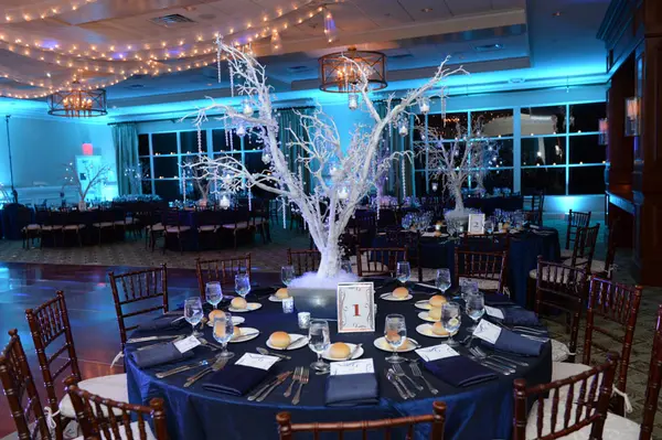 Winter Themed Uplighting