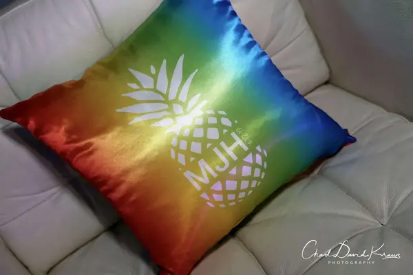 Rainbow Logo Pillows