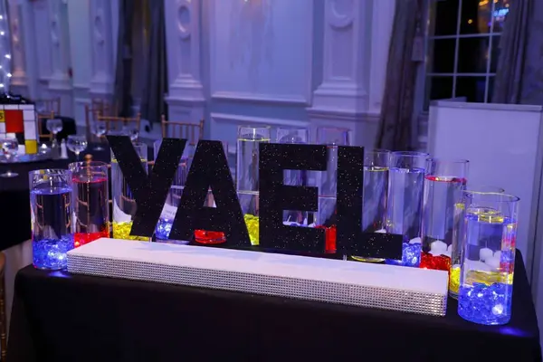 Primary Colored LED Display