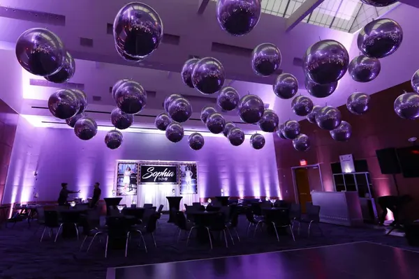 Silver Metallic Orbs Ceiling Treatment
