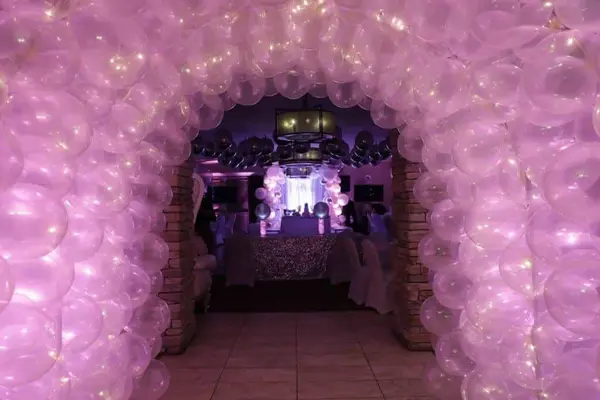 Light Pink LED Balloon Tunnel