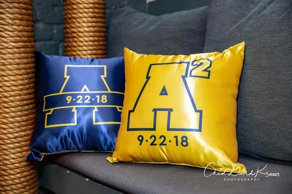 Michigan Themed Logo Pillows
