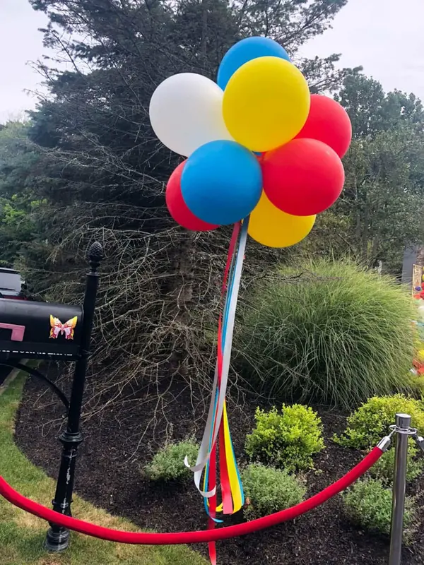 Balloon Topiary Arrangement with Ribbons