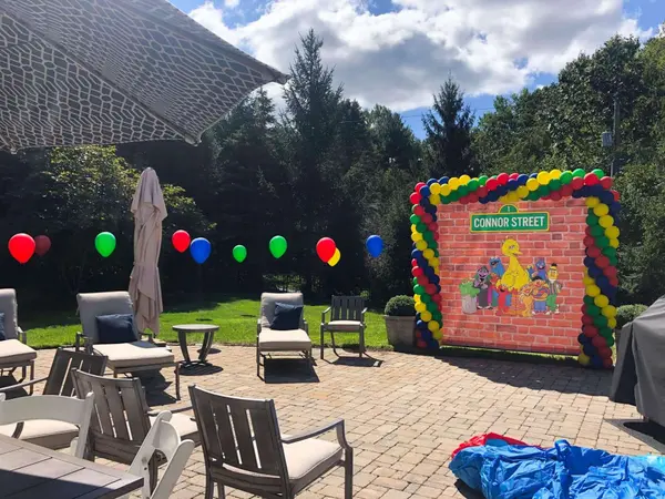 Sesame Street Photo Backdrop
