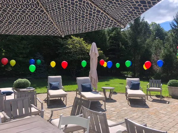Backyard Balloon Scape