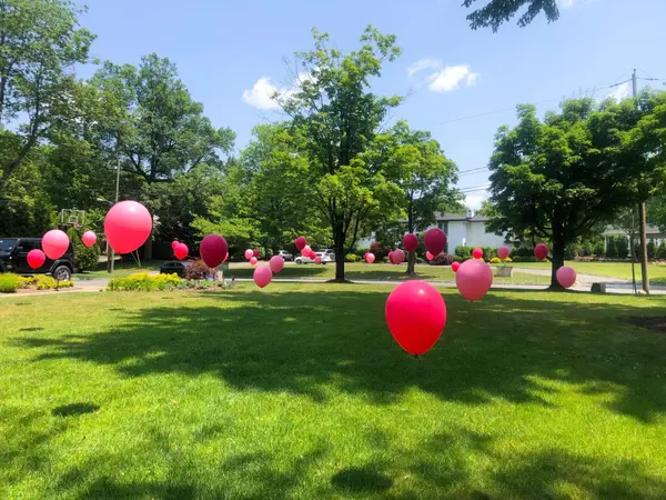 Shades of Pink Balloon Scape