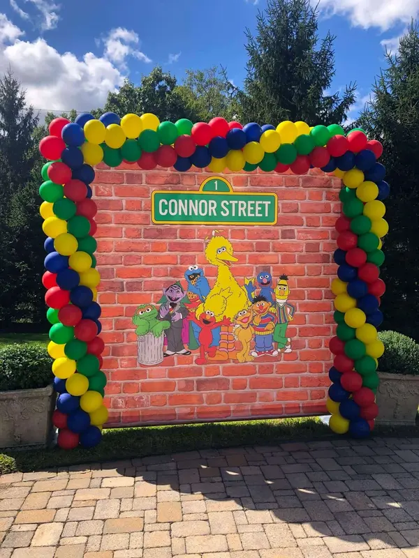 Sesame Street Custom Backdrop