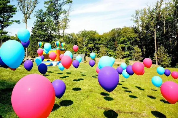 Balloons On Lawn