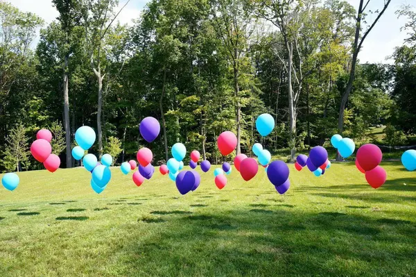 Balloons On Lawn