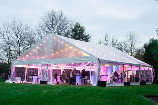Pink Uplighting