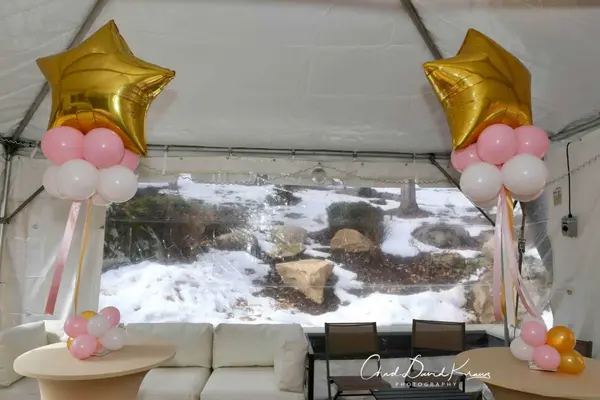 Star Balloon Centerpiece