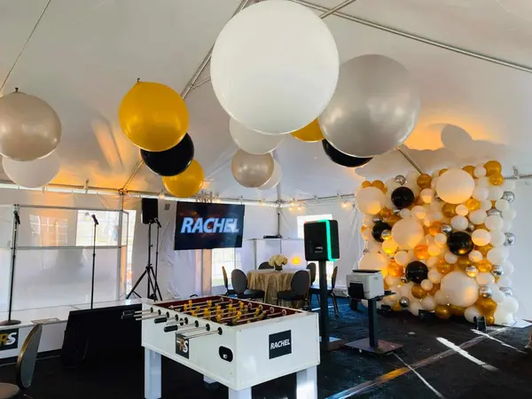 Gold Balloon Wall and Ceiling