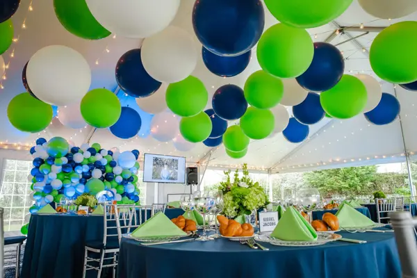 Bar Mitzvah Tent Party