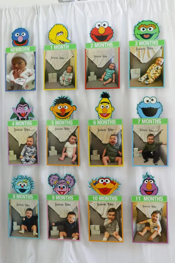 Sesame Street Backdrop