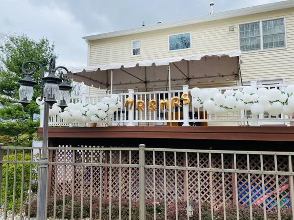 Organic Balloon Garland