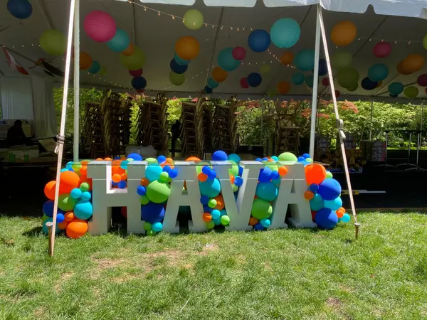 Avatar Theme Balloon Garland