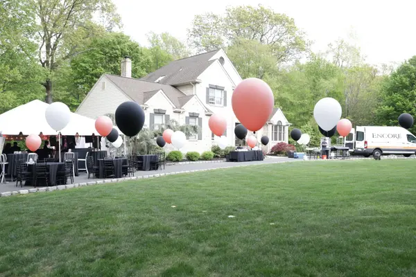 Free Standing Balloons