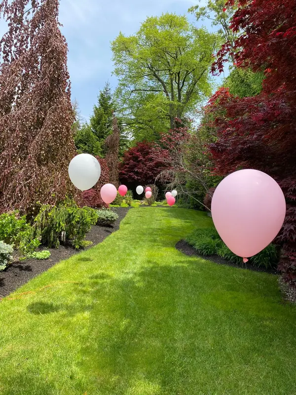 Free Standing Balloons