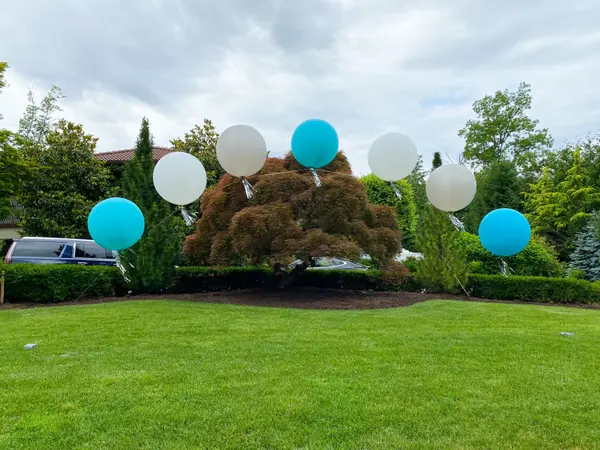 Outdoors Balloon Gazebo