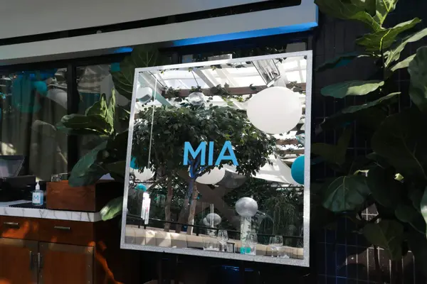 Mirror Sign in Board