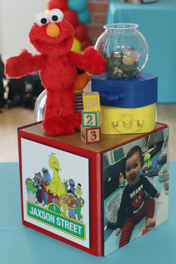 Sesame Street Centerpiece
