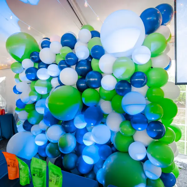 Everything Boy Balloon Wall