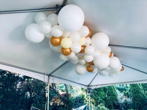 Organic Ceiling Balloon Sculpture