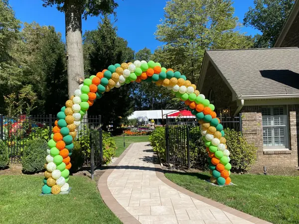Animal Print Balloon Arch