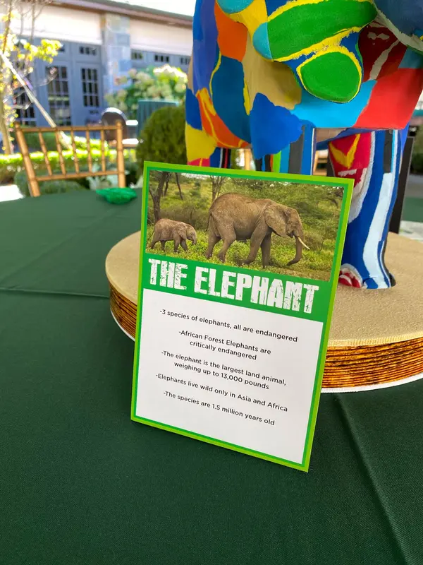 Printed Elephant Table Sign