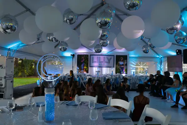 Classic Balloon and Orbz Ceiling Treatment