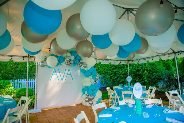 Turquoise, White and Silver Ceiling Treatment