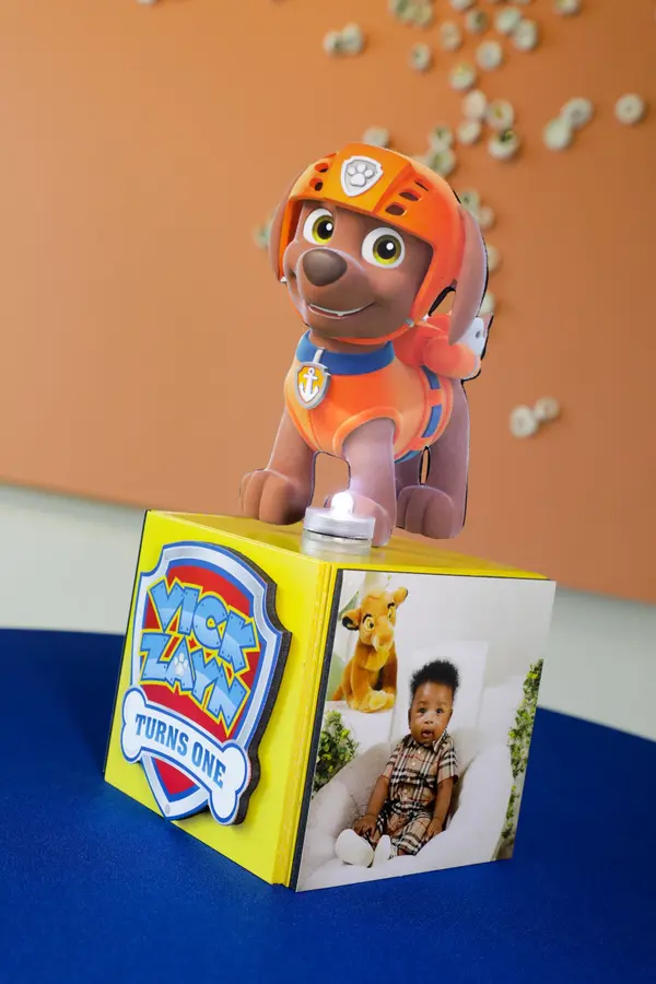 Paw Patrol Lounge Centerpiece