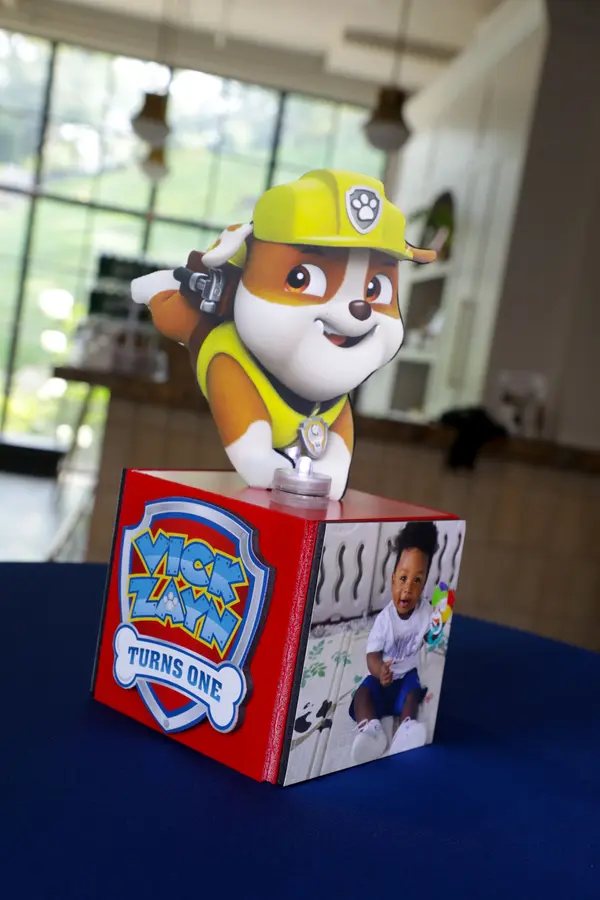 Paw Patrol Theme Mini Cube Cocktail Centerpiece