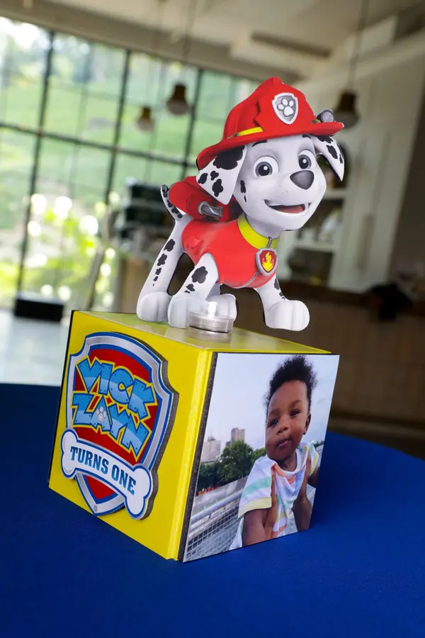 LED Paw Patrol Lounge Centerpiece