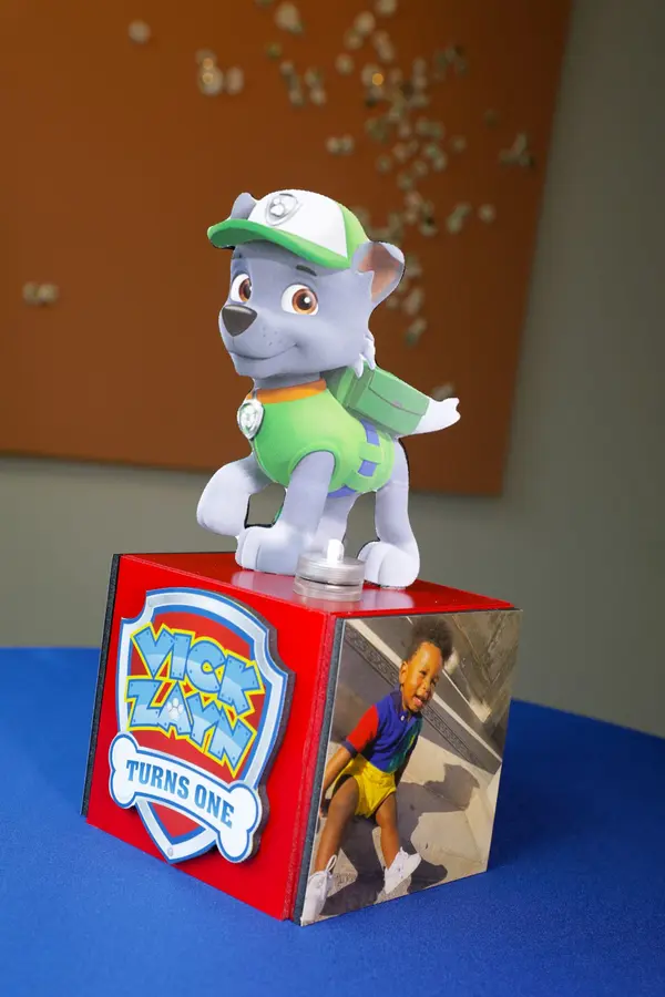 LED Paw Patrol Custom Mini Cube Centerpiece